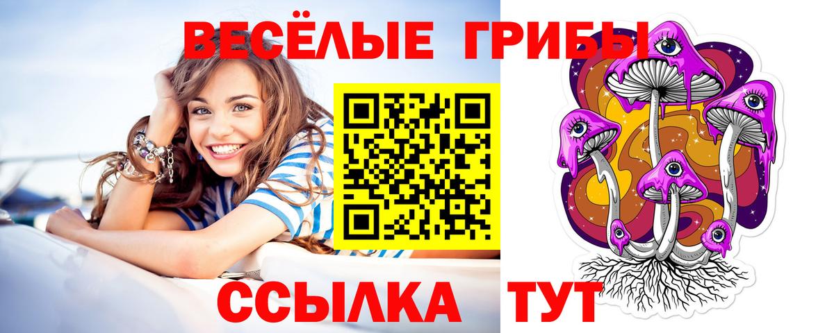 Галлюциногенные грибы мухоморы Губаха
